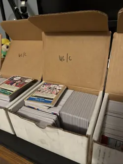 One Piece 1600+ Cards Bulk Lot TCG SR/Rare/Common/Uncommon/DON English - Image 2