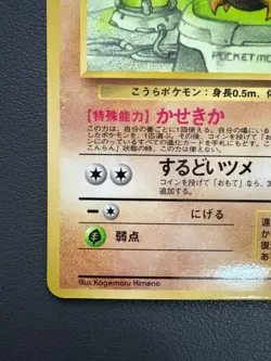 Kabuto Pokemon Card Vending Series Japanese Glossy Old Back MP - Image 5