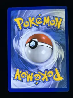 Pokemon TCG Charmander SWSH232 Holo Black Star Promo - Image 2