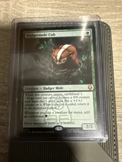 Badgermole Cub MTG Magic The Gathering Avatar (0167) NM - Image 1