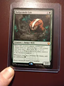 Badgermole Cub MTG Magic The Gathering Avatar (0167) NM - Image 1