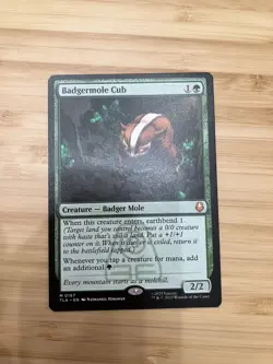 Badgermole Cub MTG Magic The Gathering Avatar (0167) NM - Image 1