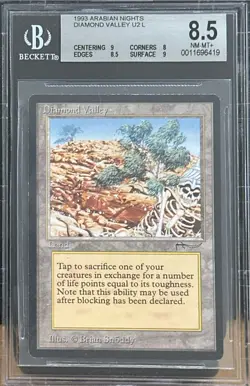 1993 MTG Arabian Nights Diamond Valley Magic the Gathering BGS 8.5 Near Mint+ - Image 1