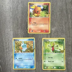 Pokemon TCG: Mudkip Treecko Torchic- Jumbo Card Set- 25 Anniversary - Image 1