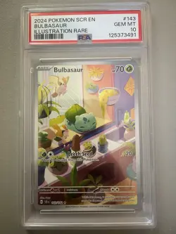 Bulbasaur Illustration Rare 2024 Pokemon Scr En-Stellar Crown #143 PSA 10 - Image 1