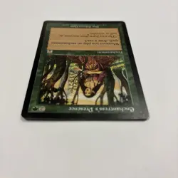 Enchantress's Presence LP Onslaught MTG 261 / 350 English Regular Card Draw! - Image 4