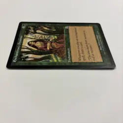Enchantress's Presence LP Onslaught MTG 261 / 350 English Regular Card Draw! - Image 5