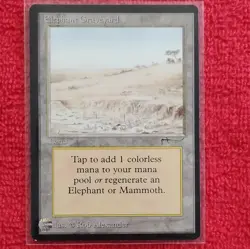 Magic: The Gathering Elephant Graveyard Land Rob Alexander - Image 1