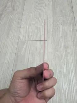 Fierce Guardianship (Foil Etched) Commander Masters Foil - Image 2