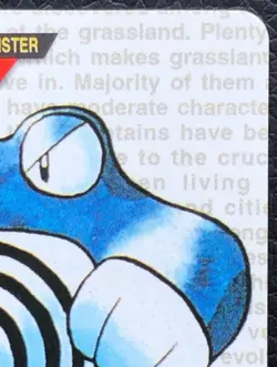 Poliwrath Pokemon Card Carddass japan NINTENDO BANDAI very rare F/S - Image 3