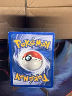 Pokemon TCG Totodile 134/165 Expedition 2002 Common Vintage e‑Card Era LP/MP - Image 2