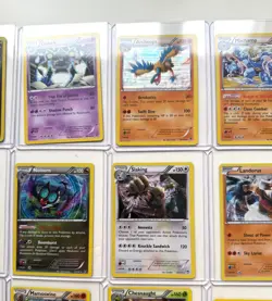 Pokemon TCG Huge Bulk Holo Bundle X24 - Blastoise - 2013 2015 - Rare Vintage NM - Image 3