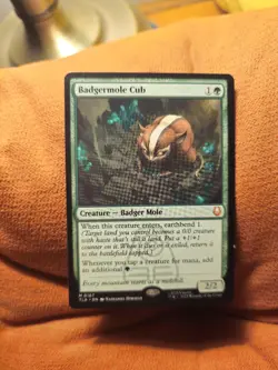 Badgermole Cub Avatar: The Last Airbender Regular Mint/Near Mint - Image 1