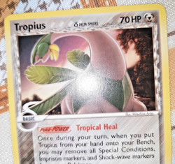 Pokemon - Tropius Delta species Ex Dragon Frontiers ENG 23/101 Rare Vintage Card - Image 4