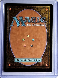 2024 MTG Magic the Gathering SLD Secret Lair Drop Fallout Foil #795 Wastes LP - Image 2