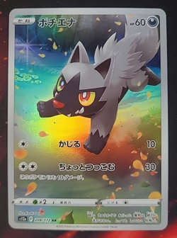 Pokemon Poochyena Medhyena AR 208/172 S12a VSTAR Universe God Pack Japanese Jpn - Image 1