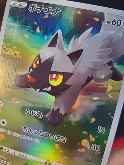 Pokemon Poochyena Medhyena AR 208/172 S12a VSTAR Universe God Pack Japanese Jpn - Image 3