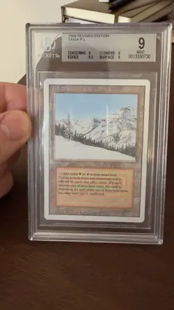 Taiga Revised MTG Dual Land BGS 9 Mint Condition - Image 2