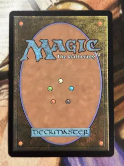 Foil Paradise Chocobo Birds of Paradise (Borderless) #483 MTG Final Fantasy - NM - Image 2