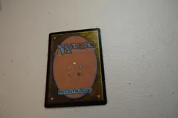 Lifecreed Duo - FOIL - Bloomburrow - Magic the Gathering MTG - Image 2