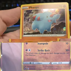 Phanpy Pokemon SWSH117 Black Star Promo Holo with HD Swirl - Image 3