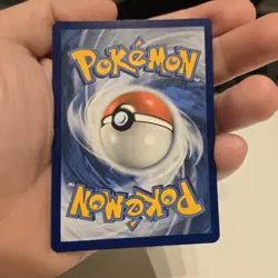 Phanpy Pokemon SWSH117 Black Star Promo Holo with HD Swirl - Image 4