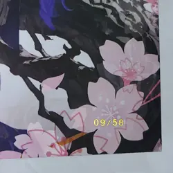 Raiden Limited 09/58 Double Side Waifu Card Anime Girl Art Oversize Board A5 - Image 5