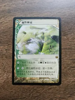 Horizon Canopy (FUT) Chinese ZHS MP - Image 1