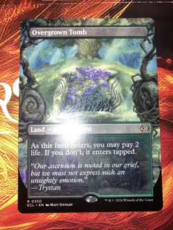 Overgrown Tomb (Borderless) Lorwyn Eclipsed Regular - Image 1