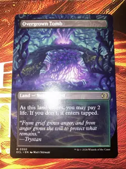 Overgrown Tomb (Borderless) Lorwyn Eclipsed Regular - Image 2