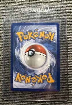 Pokemon Pikachu EX SIR 277/217 Ascended Heroes English - Pack Fresh - NM - Image 2