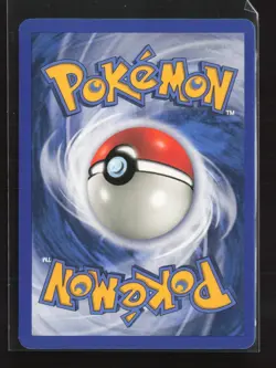 Underground Lake 141/144 Uncommon Skyridge Pokemon LP - Image 3