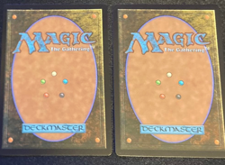 Into the Flood Maw 2 Pieces Foil Japanese Exclusive Promo MTG NM - Image 2