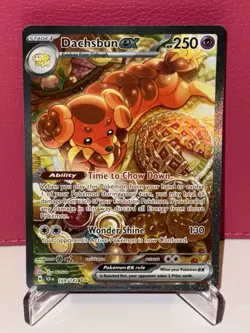 Dachsbun EX 169/142 Stellar Crown Special Illustration Rare Pokemon TCG Card NM - Image 1