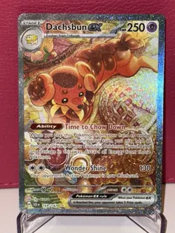 Dachsbun EX 169/142 Stellar Crown Special Illustration Rare Pokemon TCG Card NM - Image 2