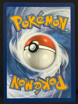 Dachsbun EX 169/142 Stellar Crown Special Illustration Rare Pokemon TCG Card NM - Image 2