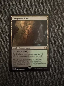 Overgrown Tomb - 256 -MTG ECL Lorwyn Eclipsed - NM/MINT - Image 1