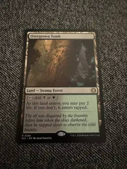 Overgrown Tomb - 256 -MTG ECL Lorwyn Eclipsed - NM/MINT - Image 2