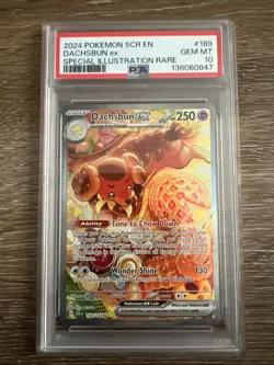 Pokemon TCG Dachsbun EX Stellar Crown Ultra Rare Card #160/142 PSA 10 - Image 1