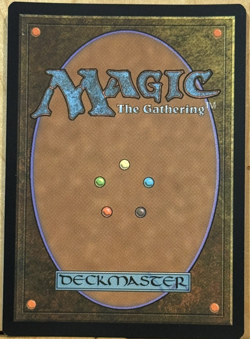 LIMITED EDITION Secret Lair MtG Saskia the Unyielding NM BORDERLESS FOIL! - Image 2