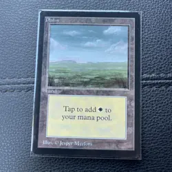Magic the Gathering MTG Plains v.3 (Dark) Beta NM - Image 1