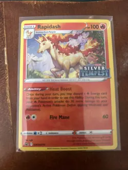 Rapidash Pokemon Silver Tempest Black Star Promo SWSH270 Near Mint - Image 1