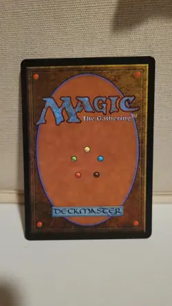 Magic MTG 3rd Edition Revised Savannah LP Near Mint NM Rare R Land Card - Image 2