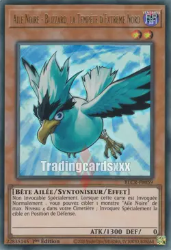 Yu-Gi-Oh! Aile Noire - Blizzard, la Tempete d'Extreme Nord : UR BLCR-FR059 - Image 1