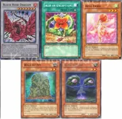 Yugioh Authentic Akiza Izinski Deck - Black Rose Dragon - Tytannia - NM - UNL - Image 1