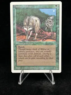 TIMBER WOLVES Revised Edition 1994 Magic The Gathering MTG TCG CCG 🔥MINT🔥 - Image 1