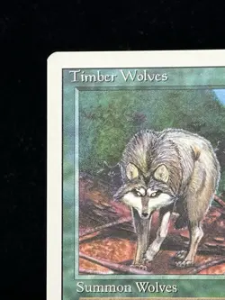 TIMBER WOLVES Revised Edition 1994 Magic The Gathering MTG TCG CCG 🔥MINT🔥 - Image 3