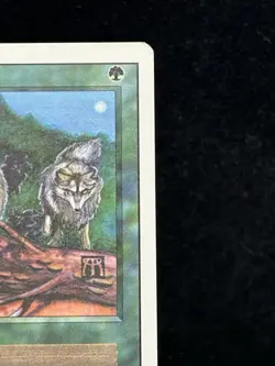 TIMBER WOLVES Revised Edition 1994 Magic The Gathering MTG TCG CCG 🔥MINT🔥 - Image 4