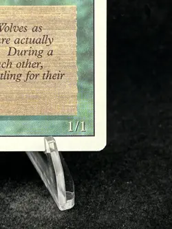 TIMBER WOLVES Revised Edition 1994 Magic The Gathering MTG TCG CCG 🔥MINT🔥 - Image 5