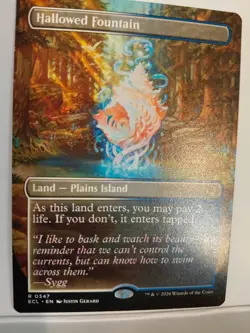 Hallowed Fountain (Borderless) Lorwyn Eclipsed Regular - Image 1